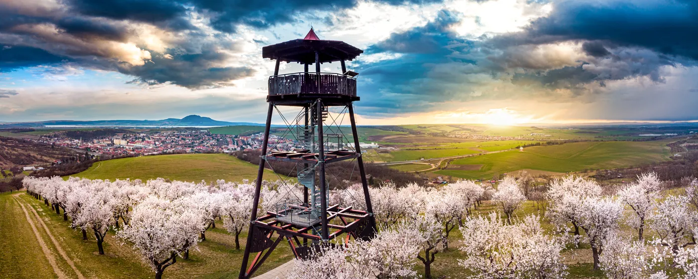 Hustopečská rozhledna, Hustopečsko, obraz krajiny jižní Moravy