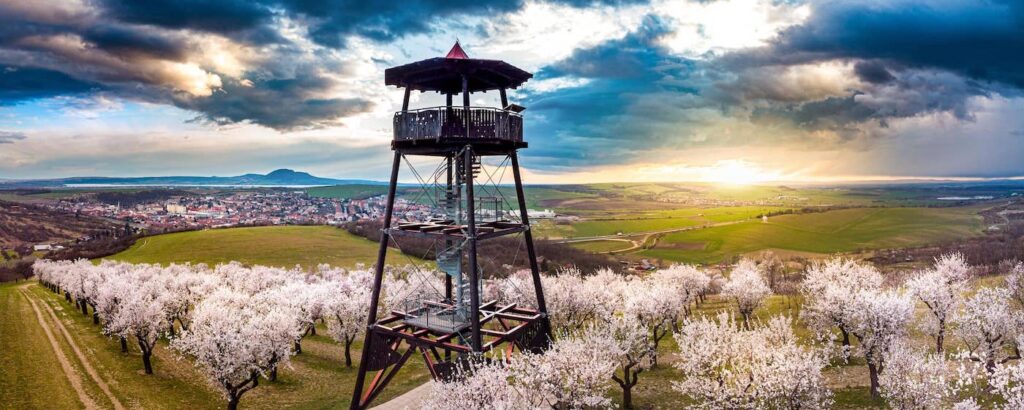 Hustopečská rozhledna, Hustopečsko, obraz krajiny jižní Moravy