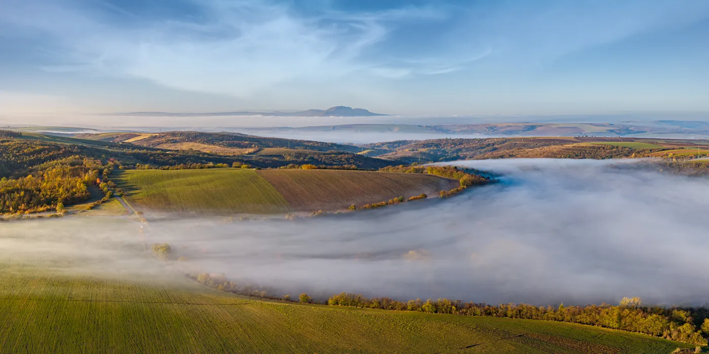 Mlhavé ráno nad Nikolčicemi (2), Nikolčice, obraz krajiny jižní Moravy