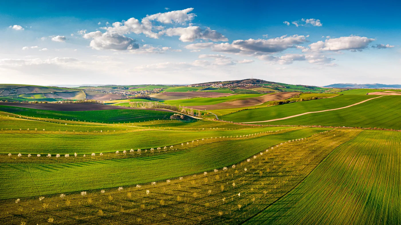 Šardické biopásy z dronu, Šardice, obraz krajiny jižní Moravy