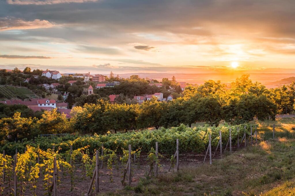 Západ nad Borkovany, Borkovany, obraz krajiny jižní Moravy